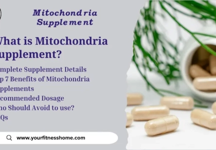 Mitochondria supplement-Benefits and usage