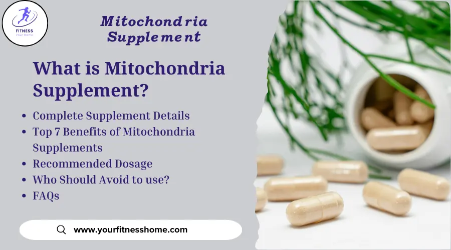 Mitochondria supplement-Benefits and usage